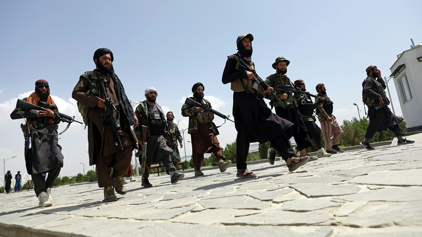Талибы создали военное подразделение для защиты лесов от вырубки