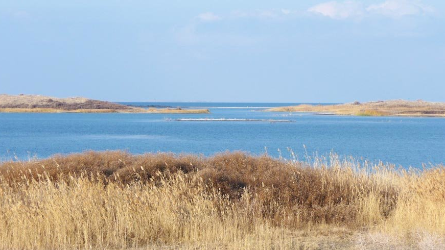 Айдар-Арнасайскую систему озер может ожидать такая же судьба, как и Арала
