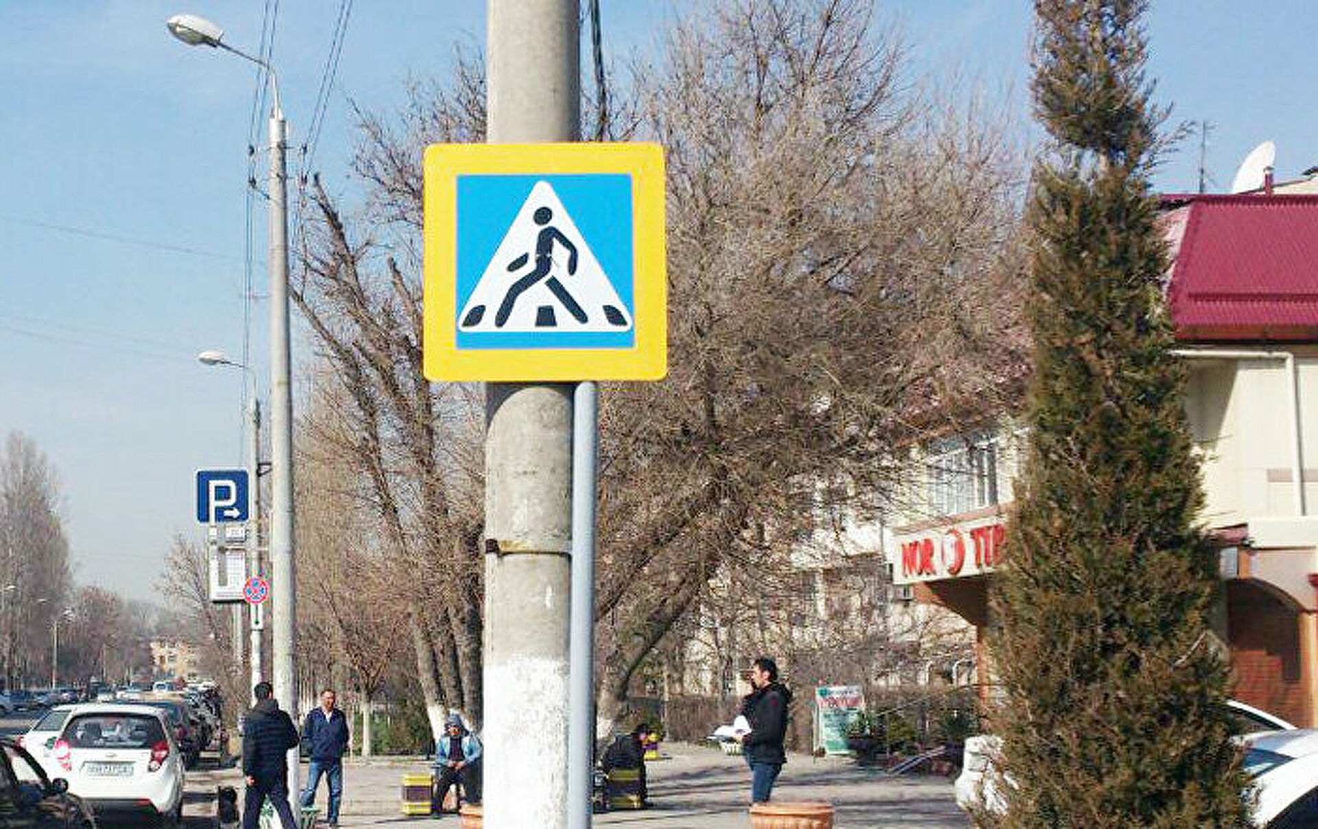 Выяснилось, сколько произошло ДТП с пешеходами в Ташкенте с начала года