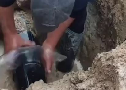 Сотрудник Джизакского водоснабжающего предприятия устранил протечку в трубе с помощью скотча - видео