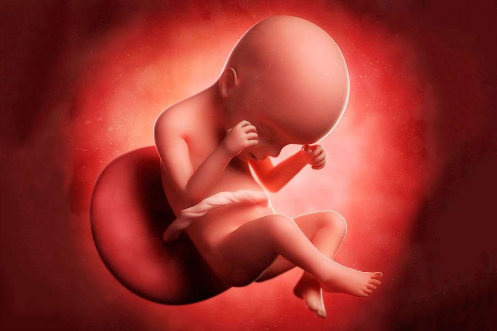 Хороший вопрос. Почему ребенок икает в животе у беременной?