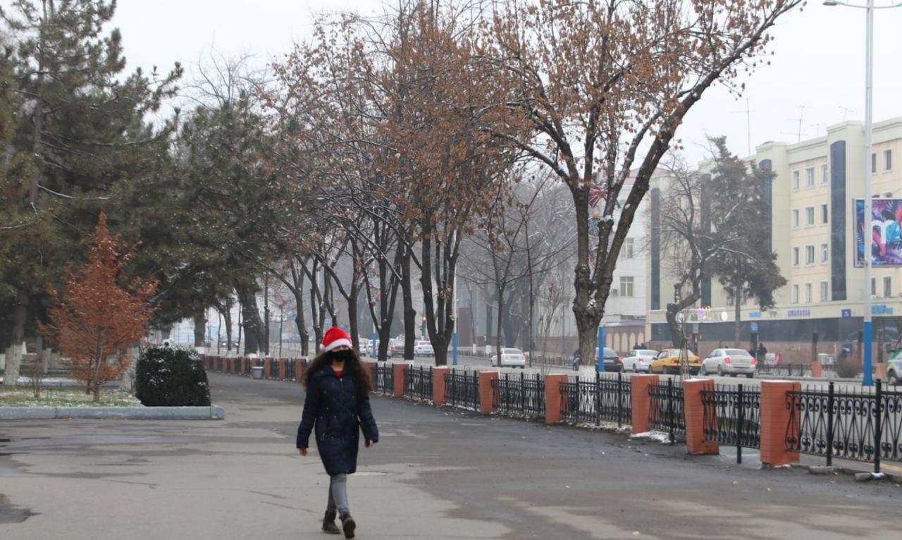 Какая погода ждет узбекистанцев до конца января 