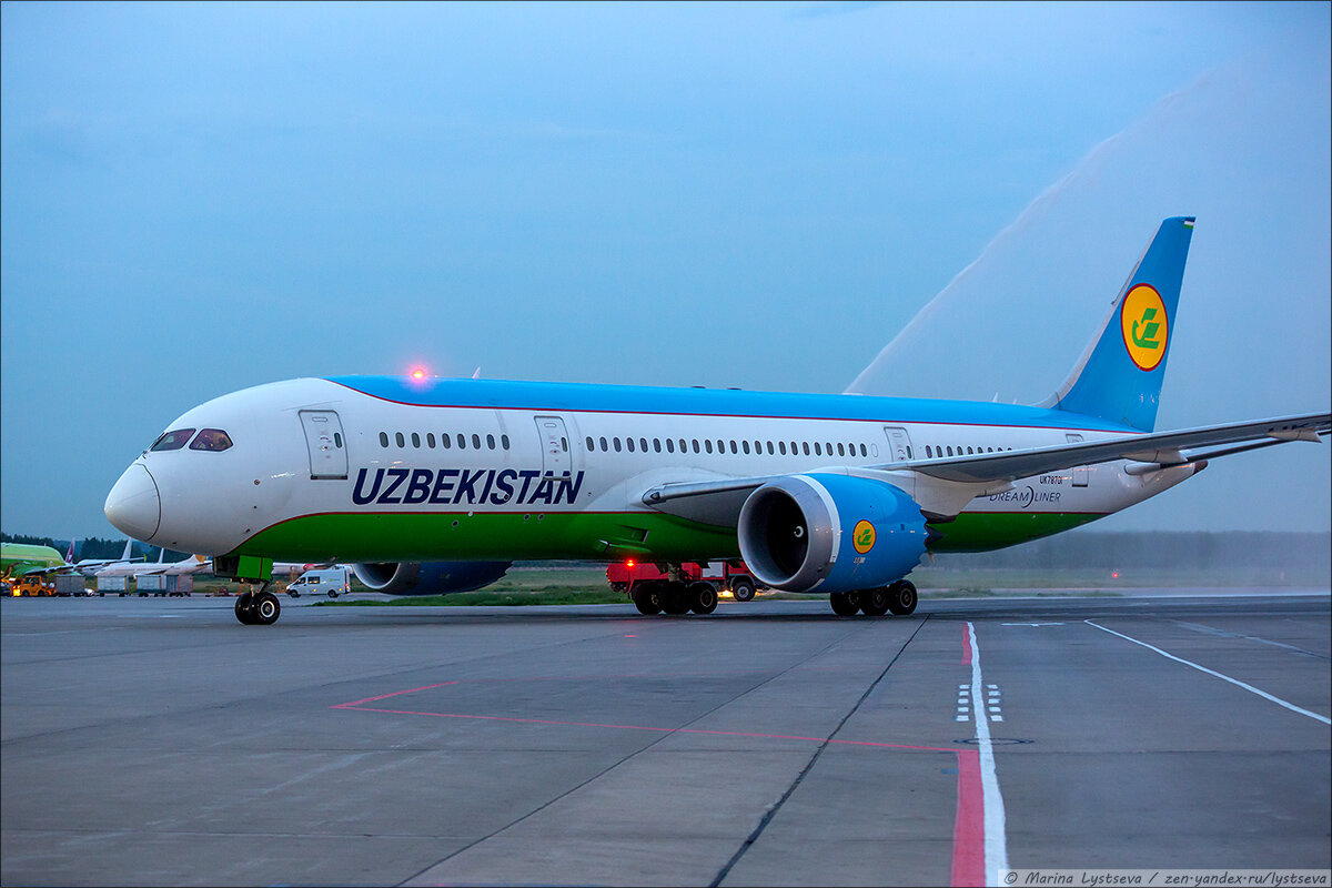 Самолет, летевший из Москвы в Ташкент, сел в Казани из-за умирающего пассажира