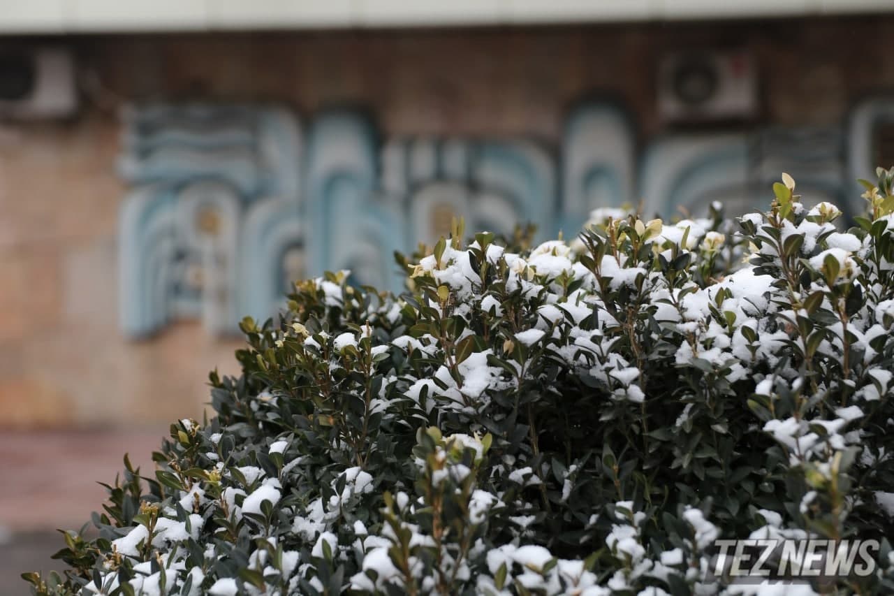 Дождь, снег и мороз: синоптики рассказали о погоде на начало недели