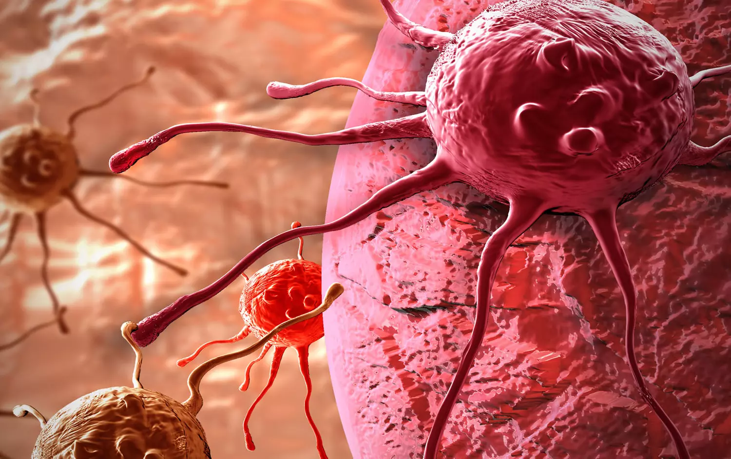 У раковых клеток нашли щупальца, которыми они проникают в здоровые ткани