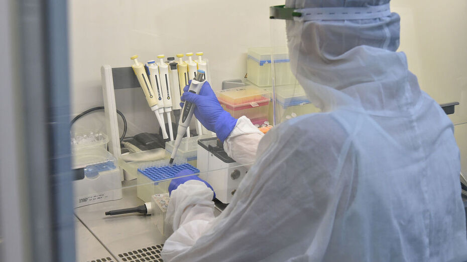 В день хайита коронавирус выявили всего у одного узбекистанца