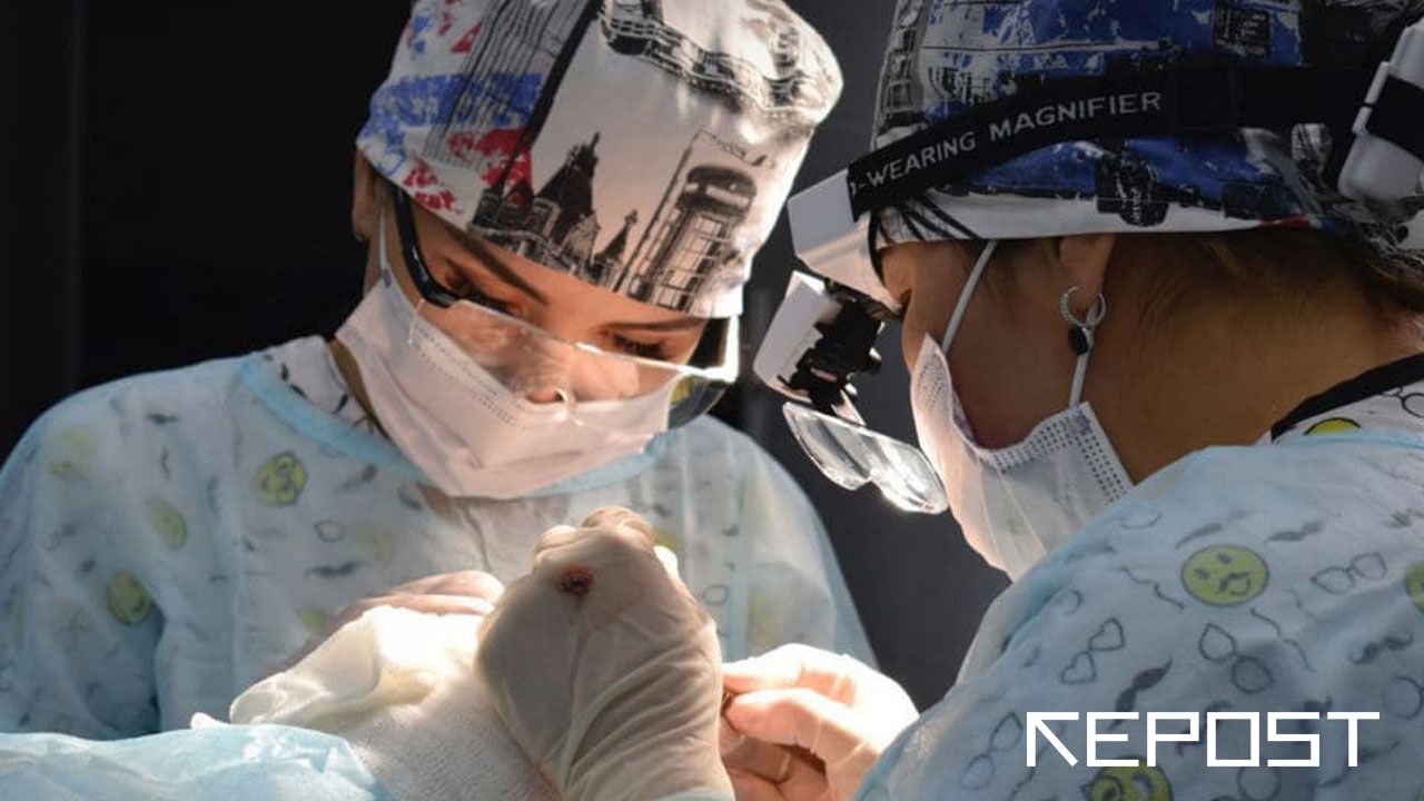 В Узбекистане разрешили трансплантацию органов и тканей человека. Главное из закона