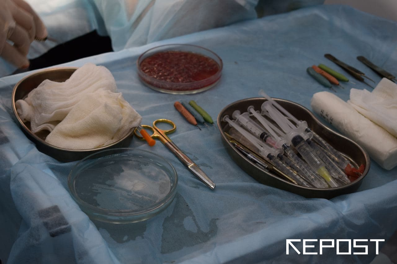 В Андижане врачи забыли в животе роженицы салфетку, которую вытащили почти через год