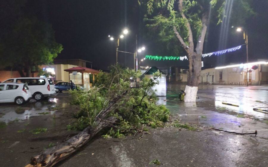 Ташкентцев экстренно предупредили о сильном ветре и дожде 