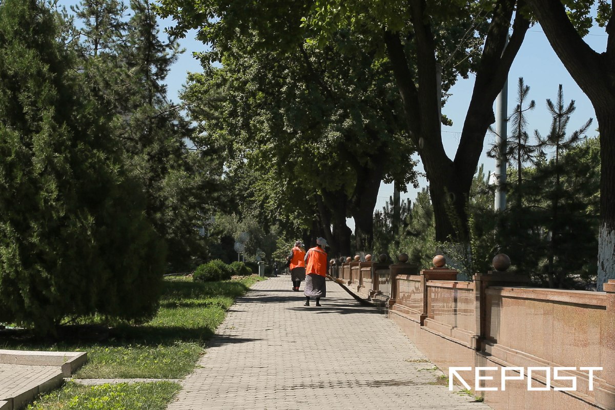 К концу недели в Узбекистан вернется 39-градусная жара — прогноз погоды