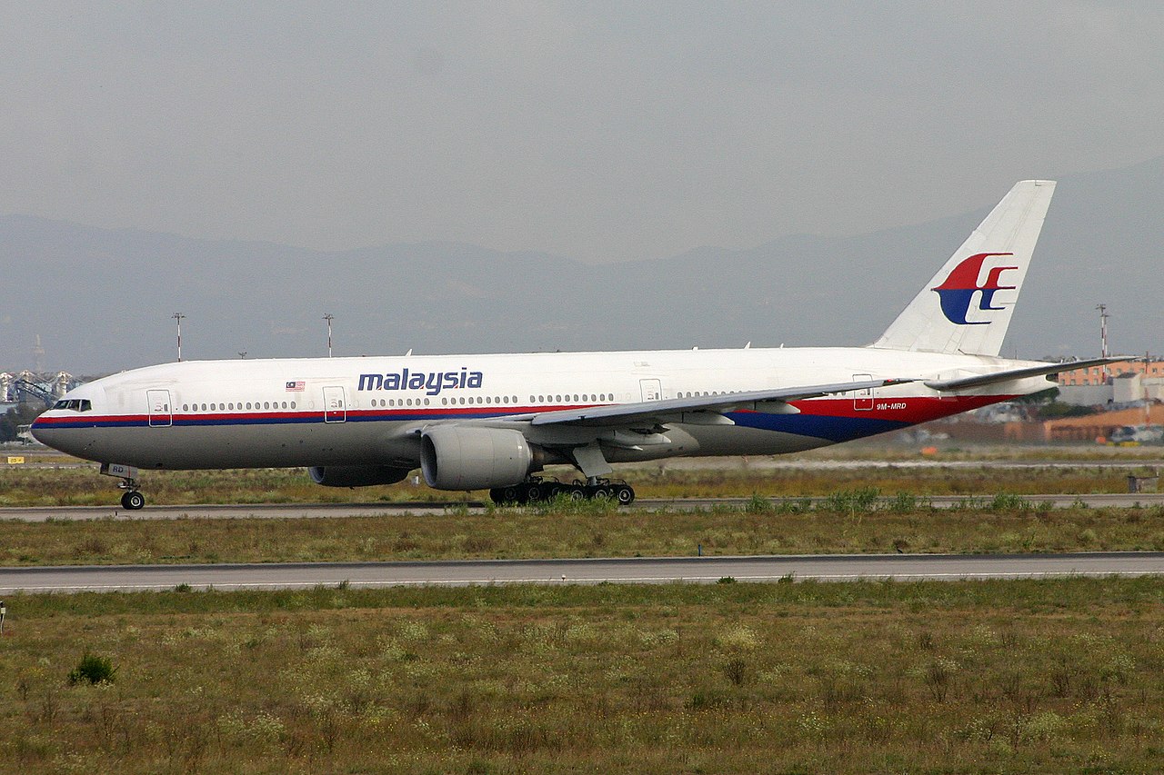 В ПАСЕ считают, что малайзийский Boeing был сбит российской ракетой