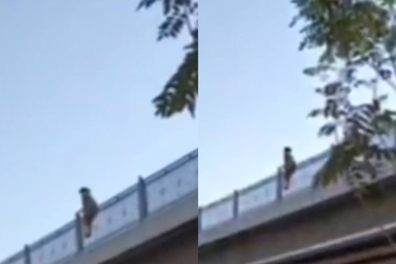 Еще одна жительница Самарканда пыталась спрыгнуть с моста — видео