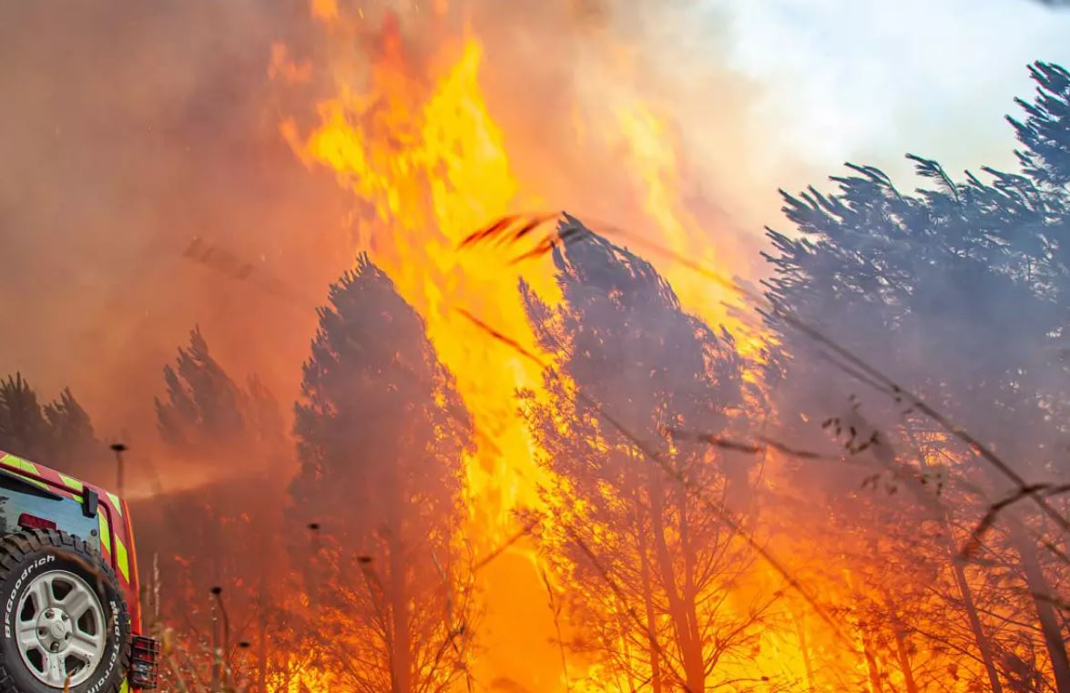 Во Франции и Испании бушуют разрушительные лесные пожары