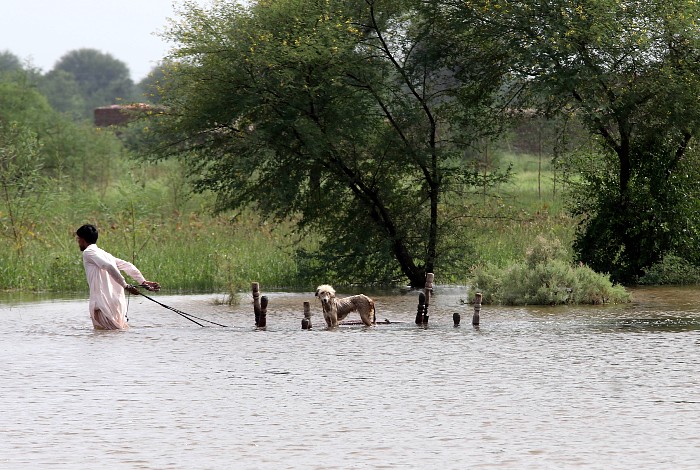 Пакистан запросил помощь у мира из-за наводнений, жертвами которых стали 937 человек