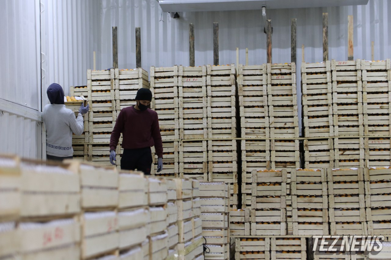Узбекистан потратил на импорт продуктов питания почти $1,4 млрд