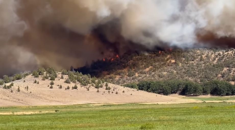 Из-за масштабного лесного пожара в Калифорнии эвакуировали тысячи людей