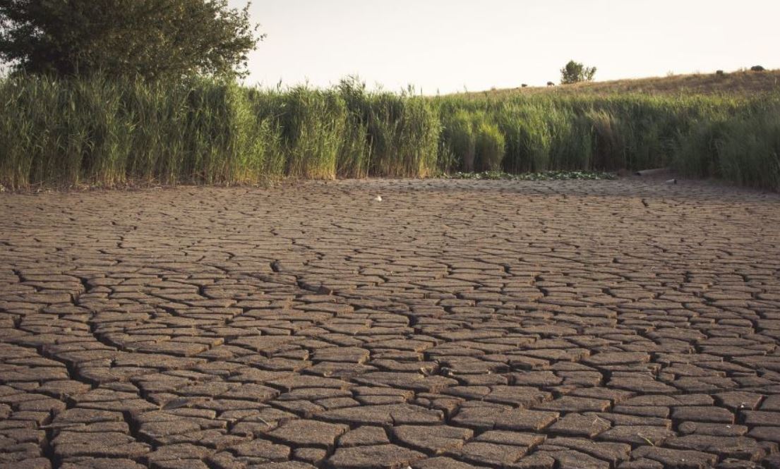 Глобальный ущерб от засухи перевалил за $13 млрд