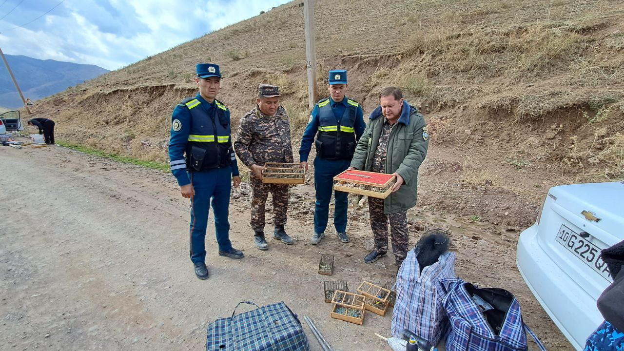 Foto: Davlat ekologik qo'mitasi matbuot xizmati<br>