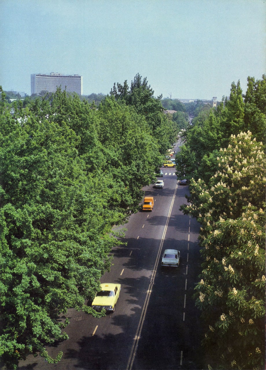 Toshkent Leningrad (hozirgi Matbuotchilar) ko'chasi. 1982-yil<br>