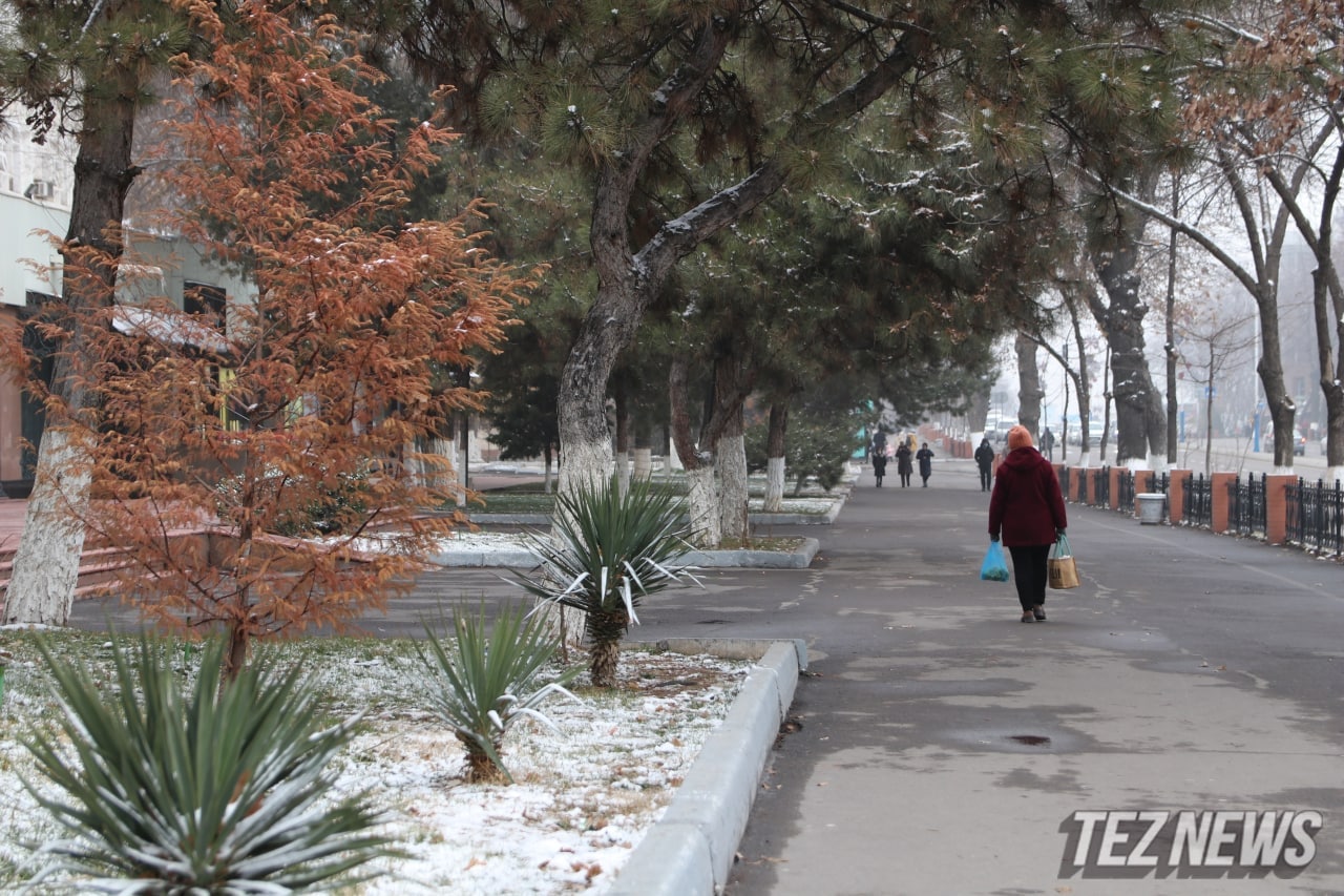 В Ташкенте ожидается снег — прогноз погоды 