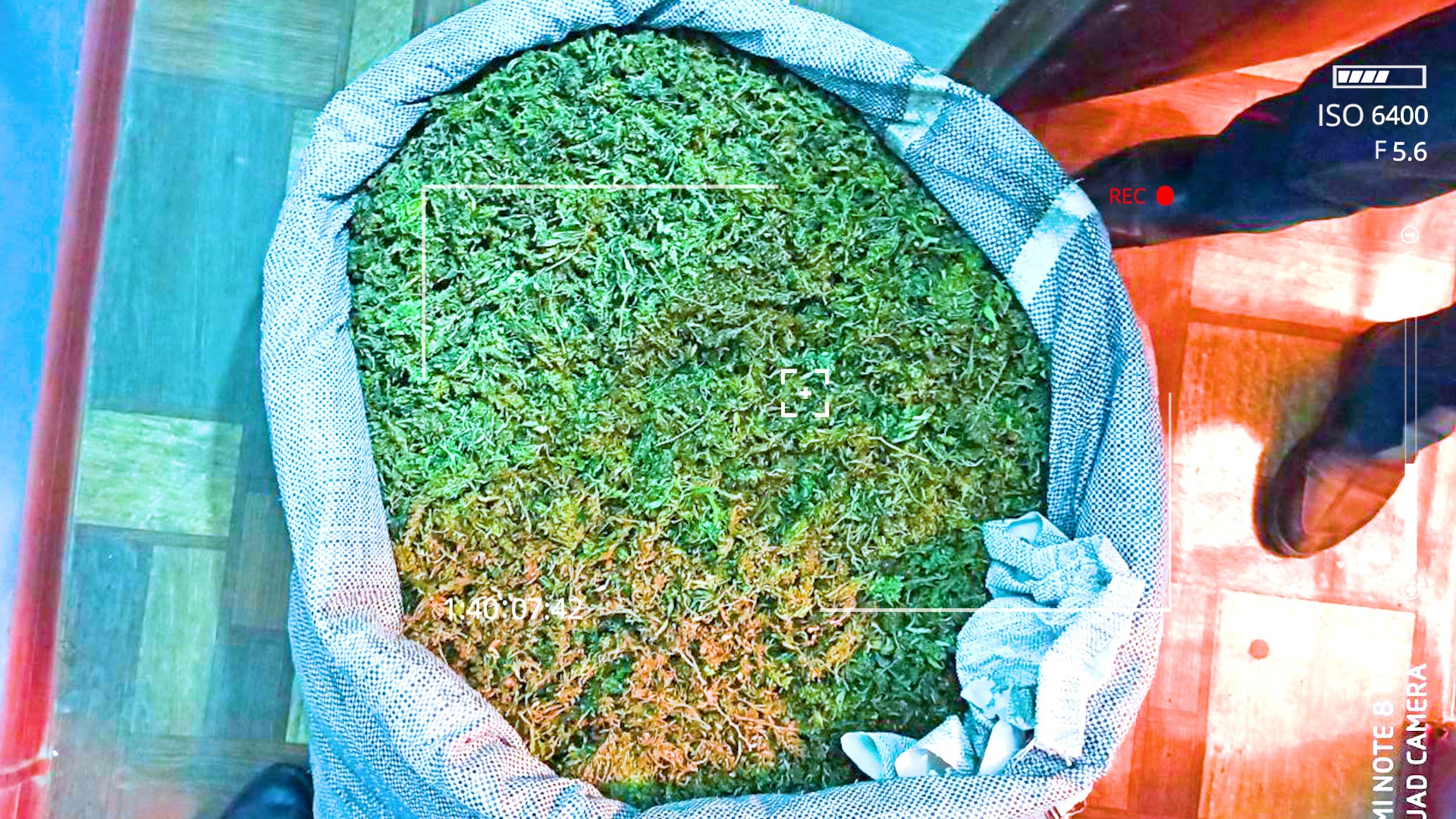 Житель Ташобласти хранил у себя дома более 17 кг марихуаны 