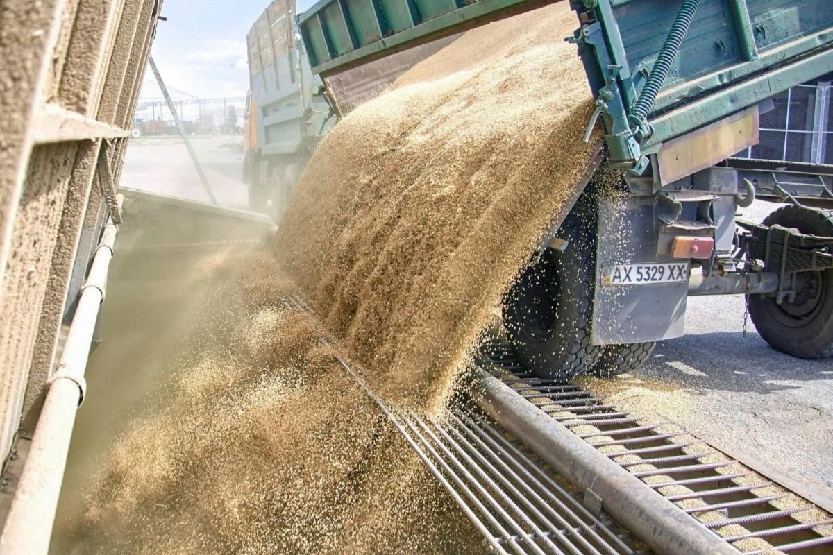 Украина, Россия и Турция продлят «зерновую сделку» на четыре месяца