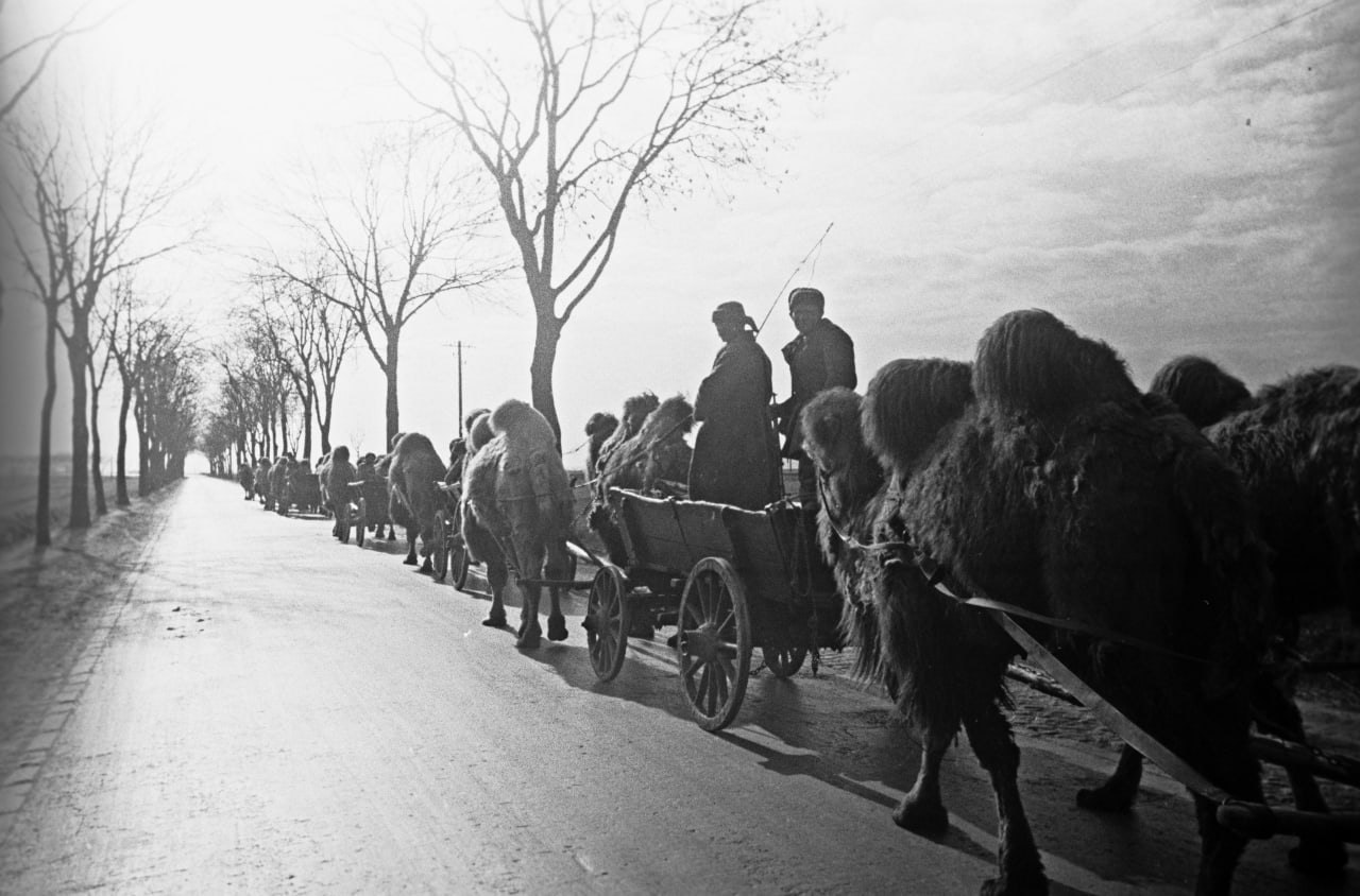 Berlindagi Soet tuyalar karvoni. 1945-yil mart<br>