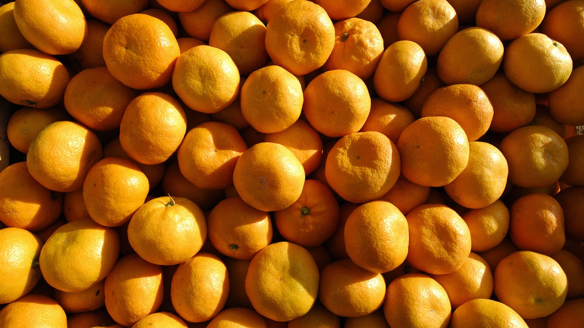 EastFruit: В Узбекистане существенно подешевели мандарины