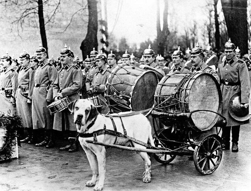 Timpani itlariga ega harbiy orkestr. Koenigsberg, 1912-yil<br>