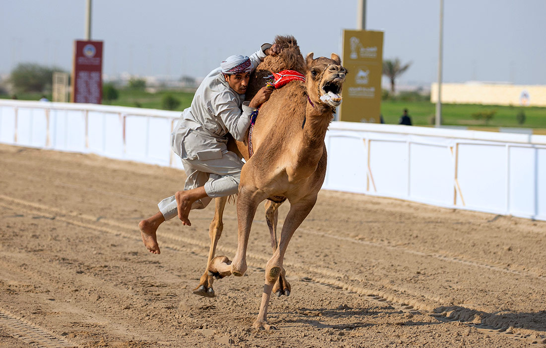 Tuyada o'naladigan gandbol, Qatar    Foto: Getty Images