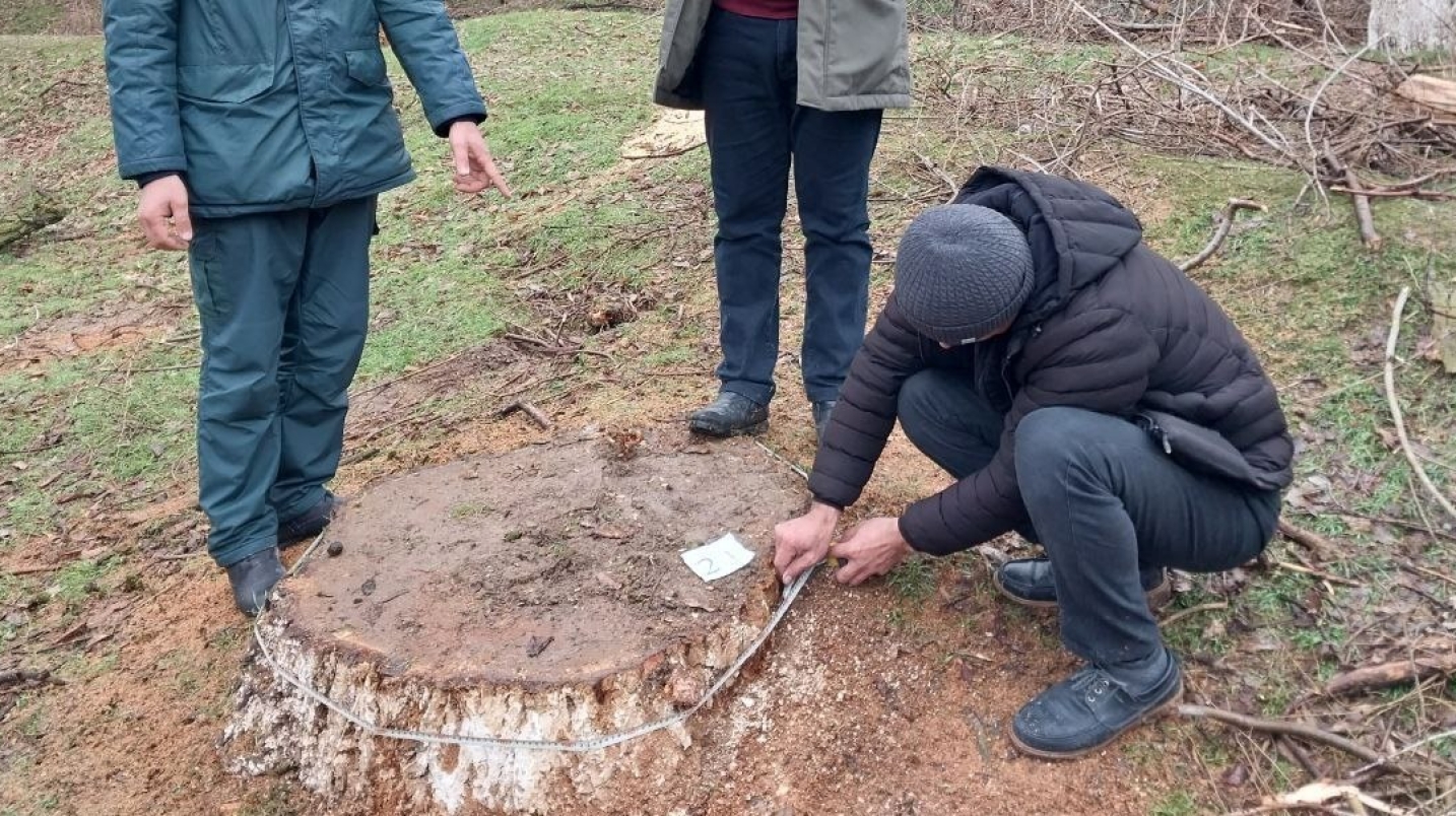 Foto: Toshkent viloyati hokimligi