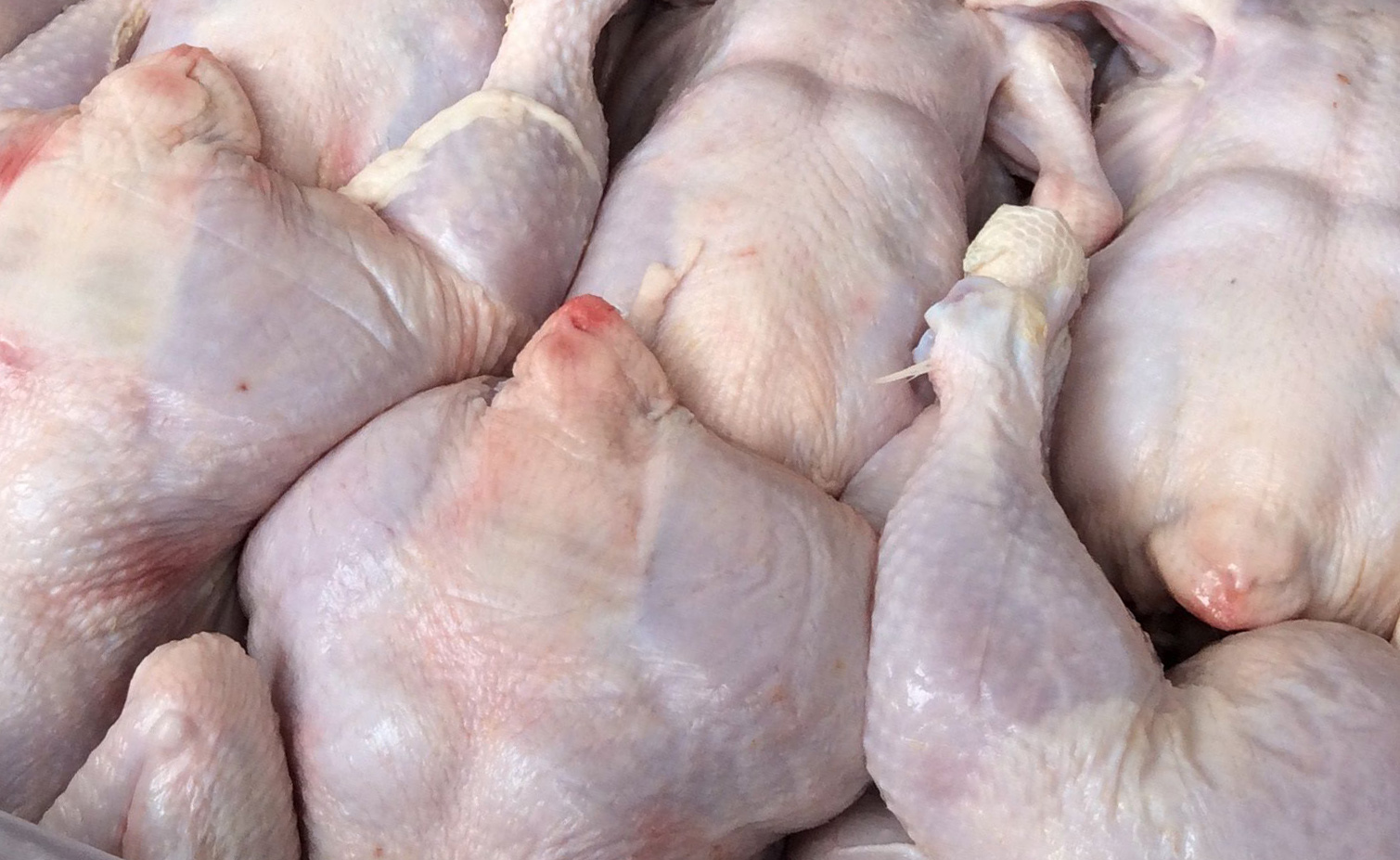 В Узбекистане продлили нулевую пошлину на ввоз мяса птицы и других товаров 