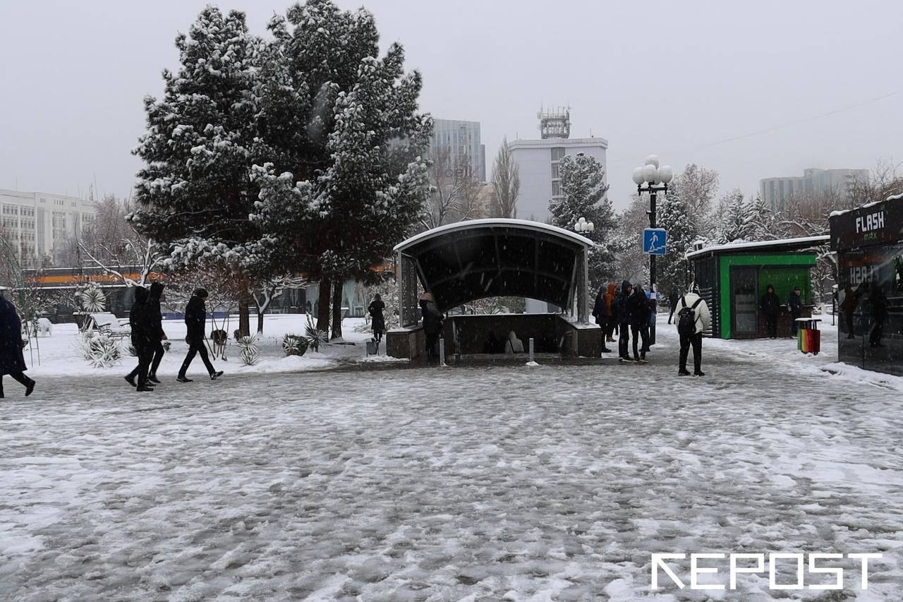 Холод - последние новости от команды Repost.uz