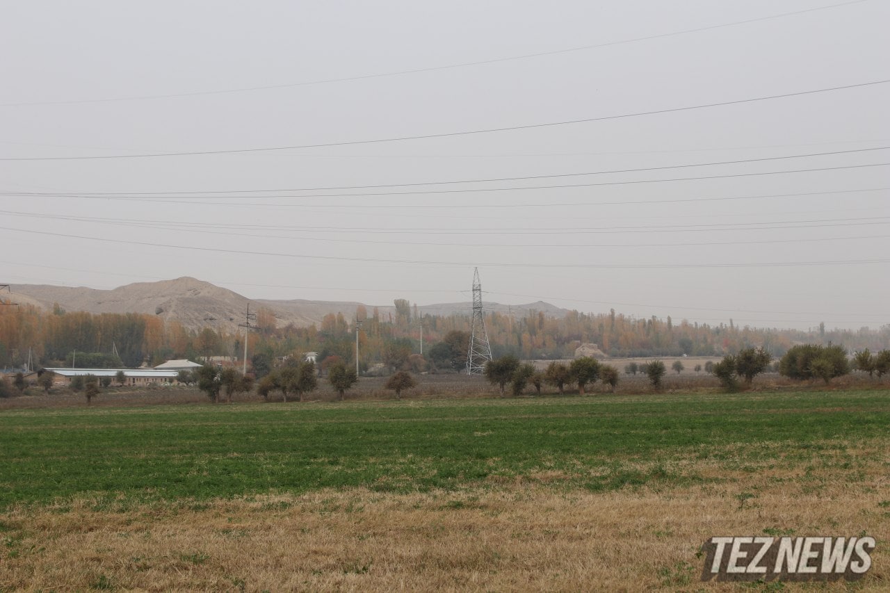 В прошлом году узбекистанцы 18,5 тысячи раз самовольно захватили земли 