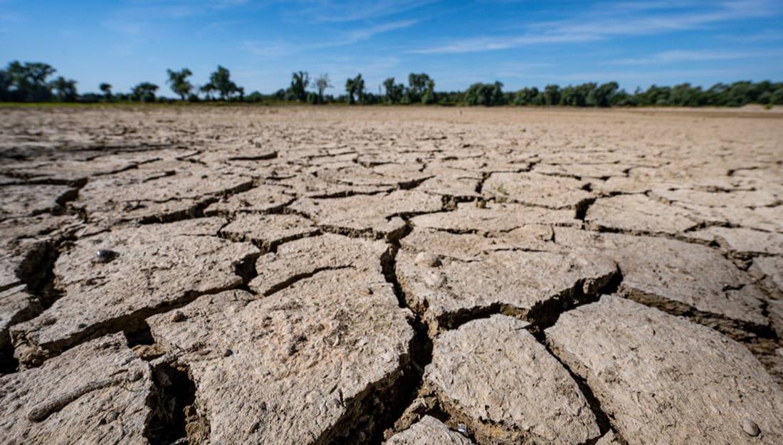 Человечеству предрекли рекордную жару и засуху в 2024 году