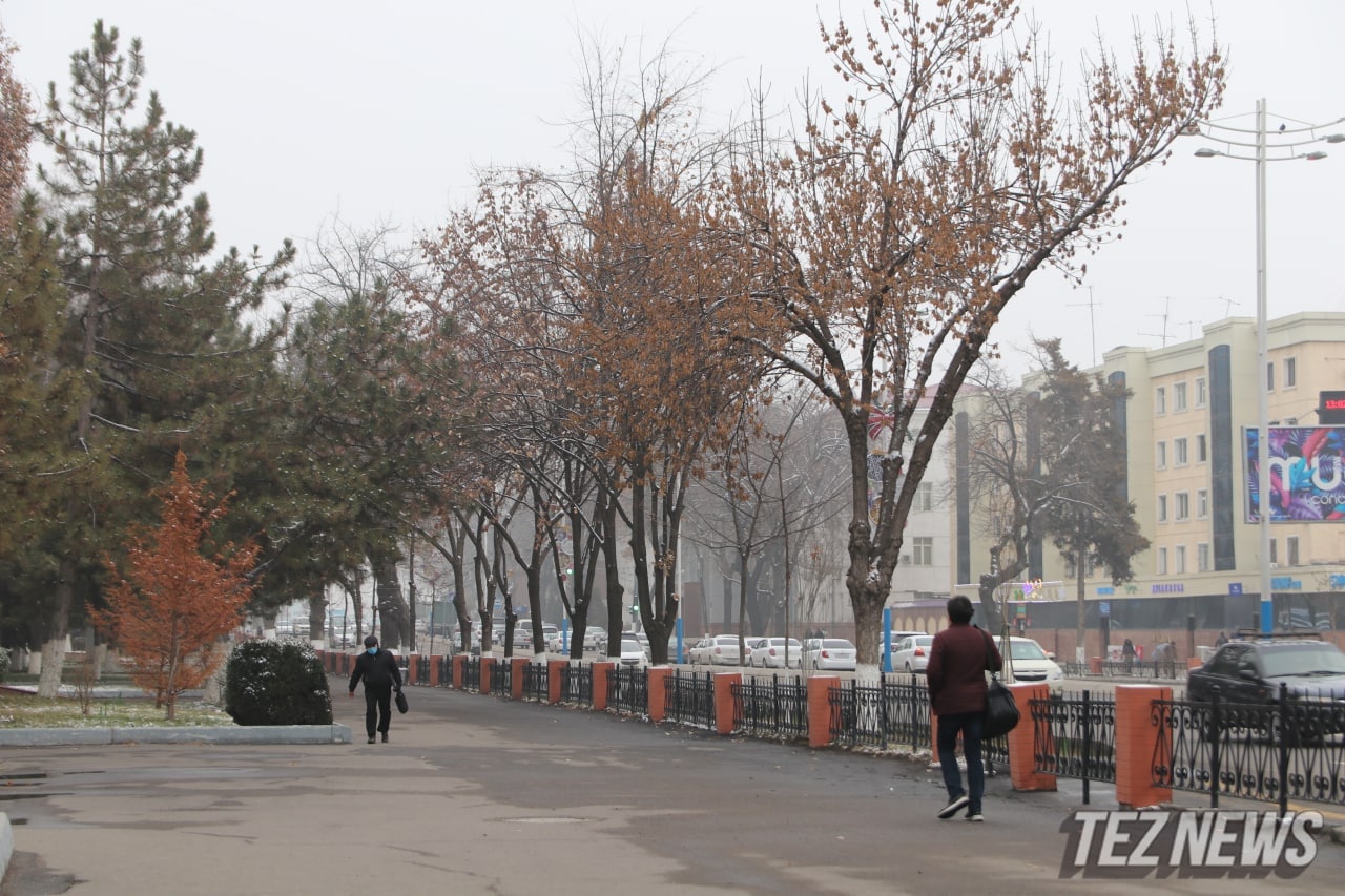 Узбекистанцам пообещали морозные выходные — прогноз погоды
