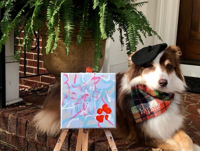 Собака-художник влюбила в себя социальные сети своими работами