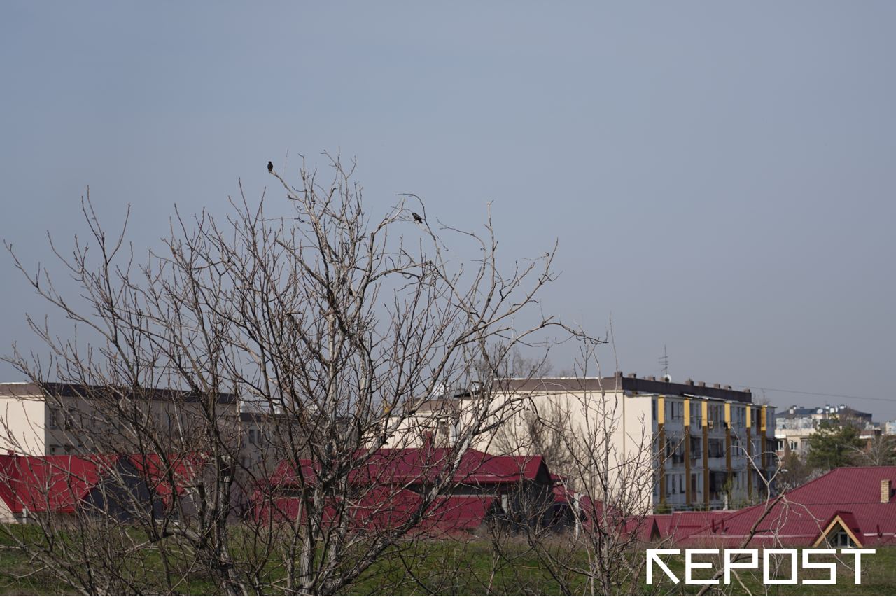 Воздух в Ташкенте сегодня — зафиксирован желтый уровень загрязнения