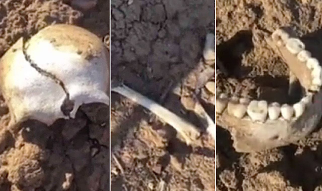 На берегу Чарвака обнаружили человеческие кости (видео)