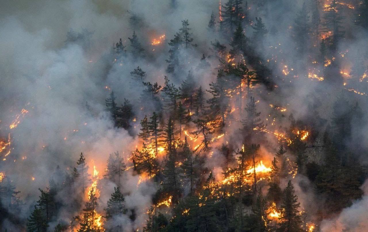 В Канаде эвакуировали 16 тысяч человек из-за лесных пожаров (видео)