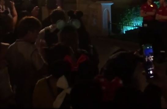 В Париже бастующие сотрудники «Диснейленда» отключили детям аттракционы (видео) 