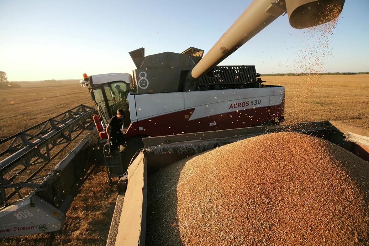 Узбекистан закупил у Казахстана пшеницу почти на $240 млн