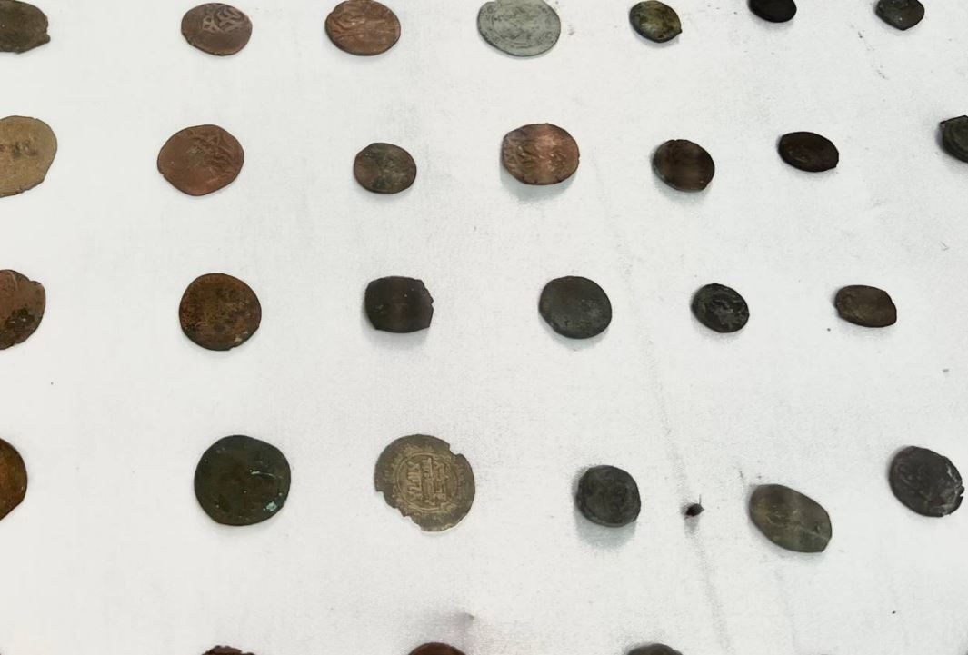 В Намангане нашли монеты Караханидского периода (фото)