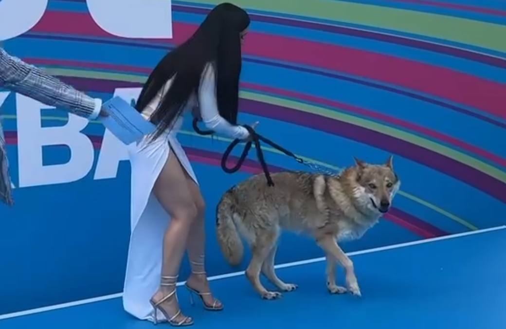 Ольга Cерябкина вышла на дорожку VK Fest с настоящим волком