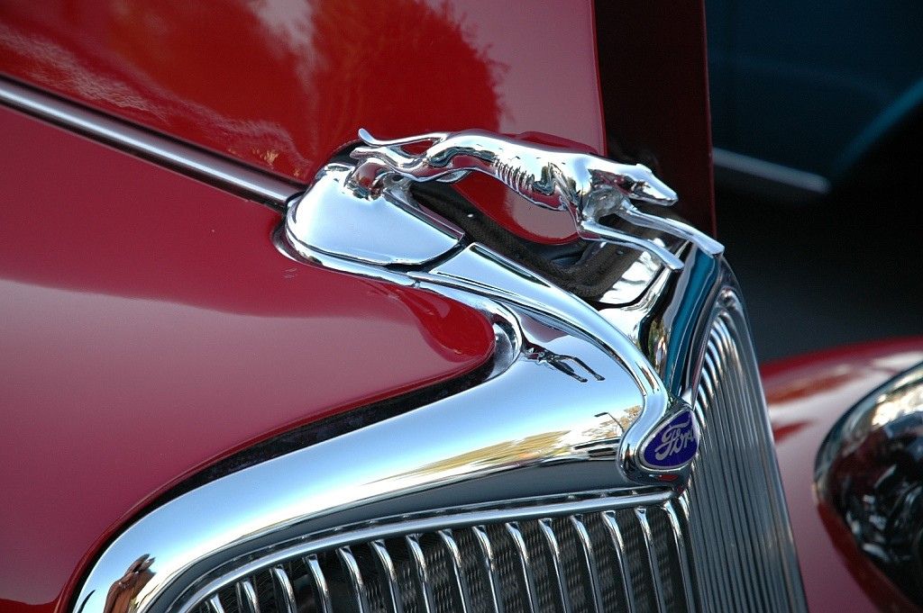 Фото: Ford