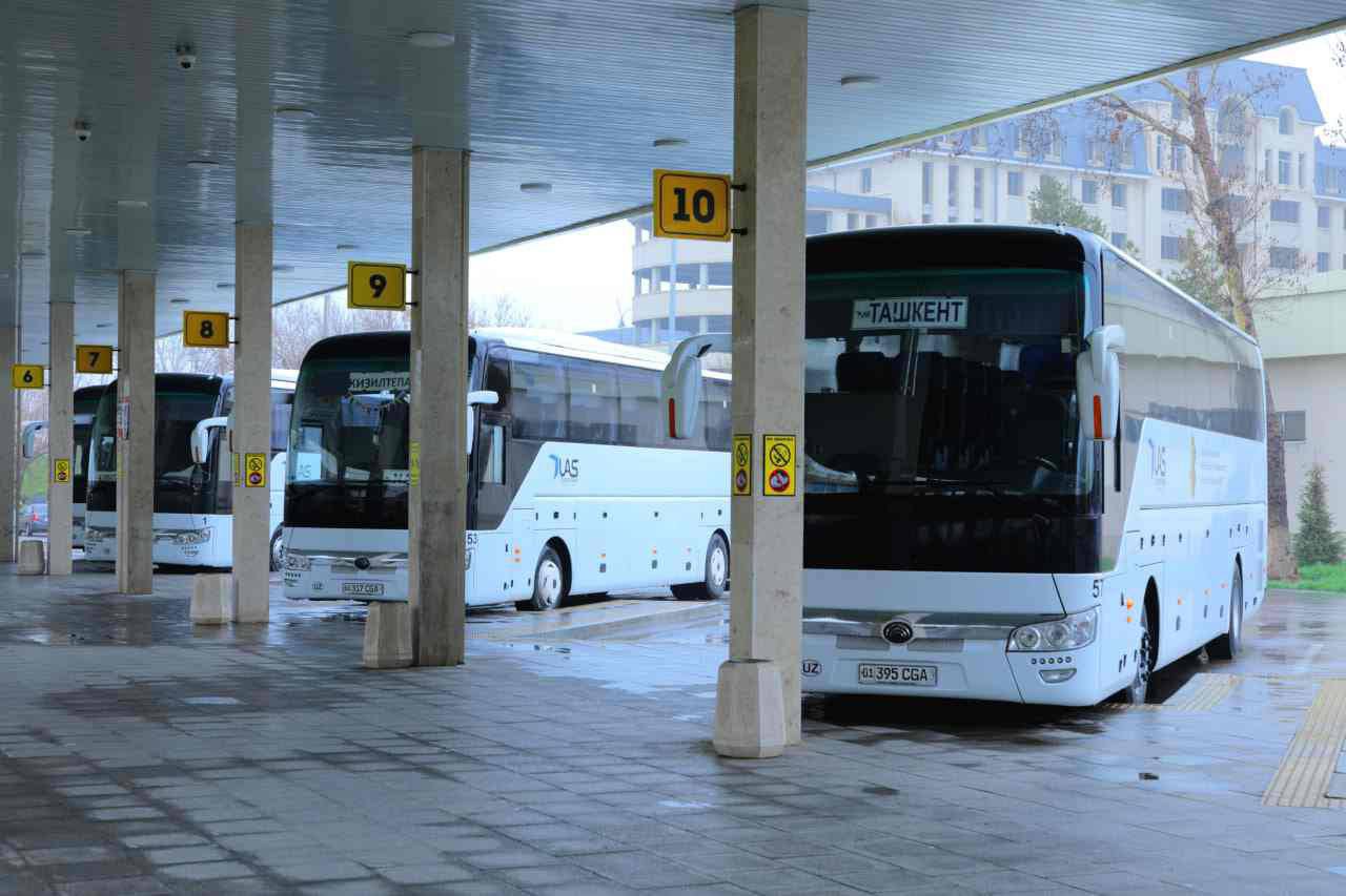 Для студентов из регионов запускаются дополнительные автобусы в Ташкент