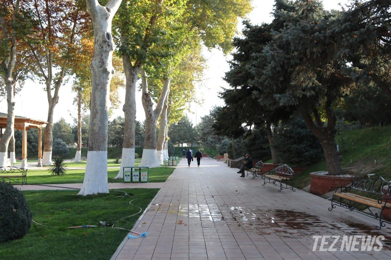 Температура воздуха в Узбекистане опустится до 10 градусов — прогноз погоды