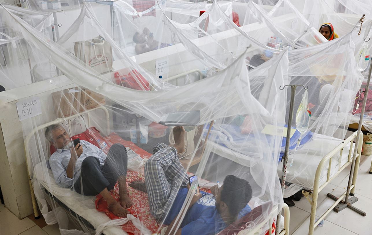 С начала года более 630 жителей Бангладеш умерли от лихорадки денге