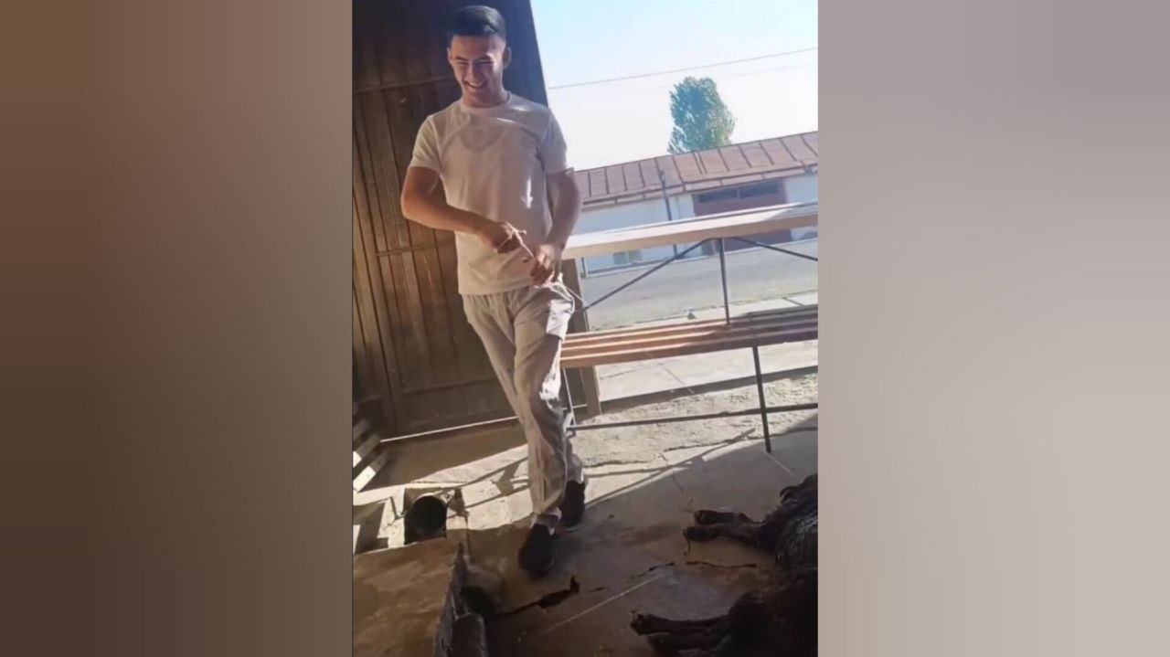 Живодер из Узбекистана записал на видео издевательство над мертвой собакой (18+)