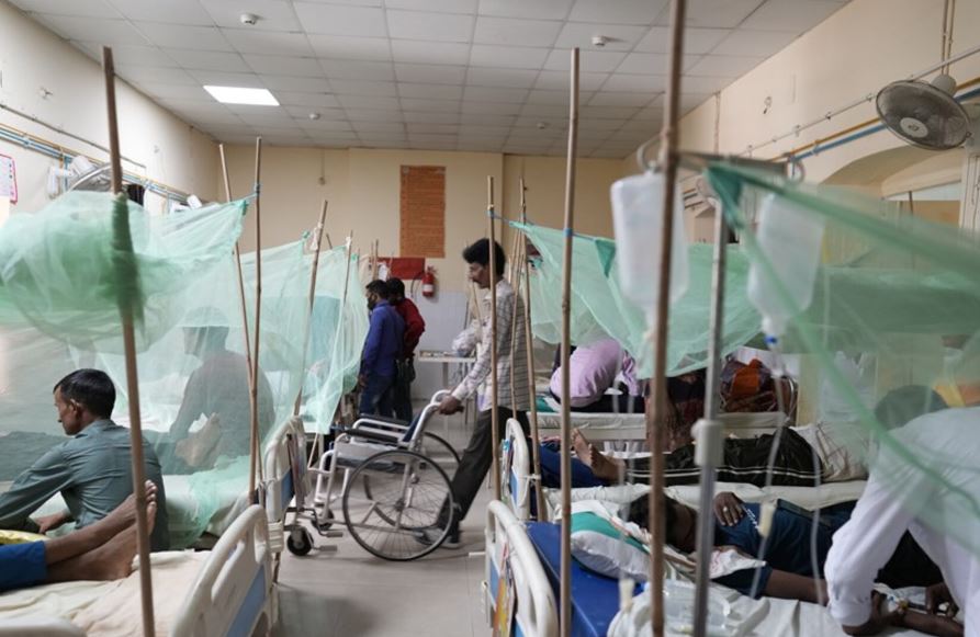 В Бангладеш число погибших из-за лихорадки денге приблизилось к 800
